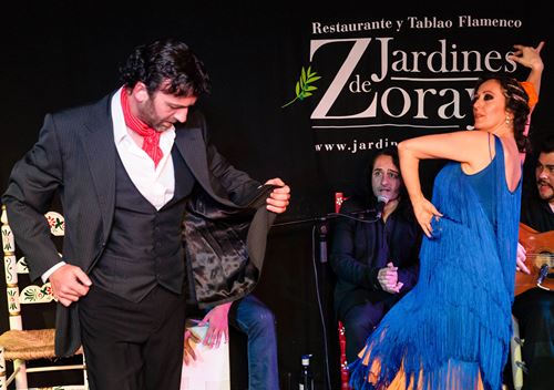 show flamenco in granada
