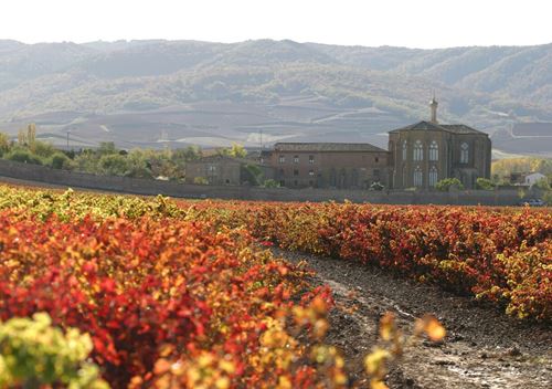 Ruta de los Monasterios La Rioja, visitas monasterios Rioja, tour monasterios Rioja