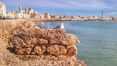 Excursies, bezoeken, reizen, attracties, rondleidingen en dingen te doen in Cadiz Andalucia Spanje